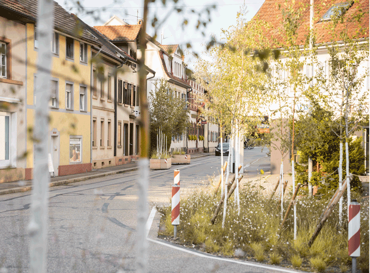 Grüne Insel aus Straße geschnitten. © Fotografie: Stefanie Würsch, 2024