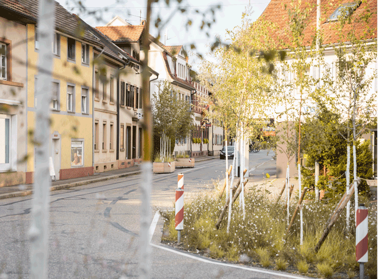 Grüne Insel aus Straße geschnitten