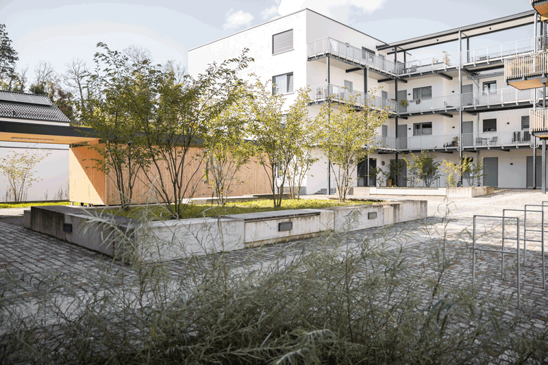 Erhöhter Baumplatz im Halbschatten