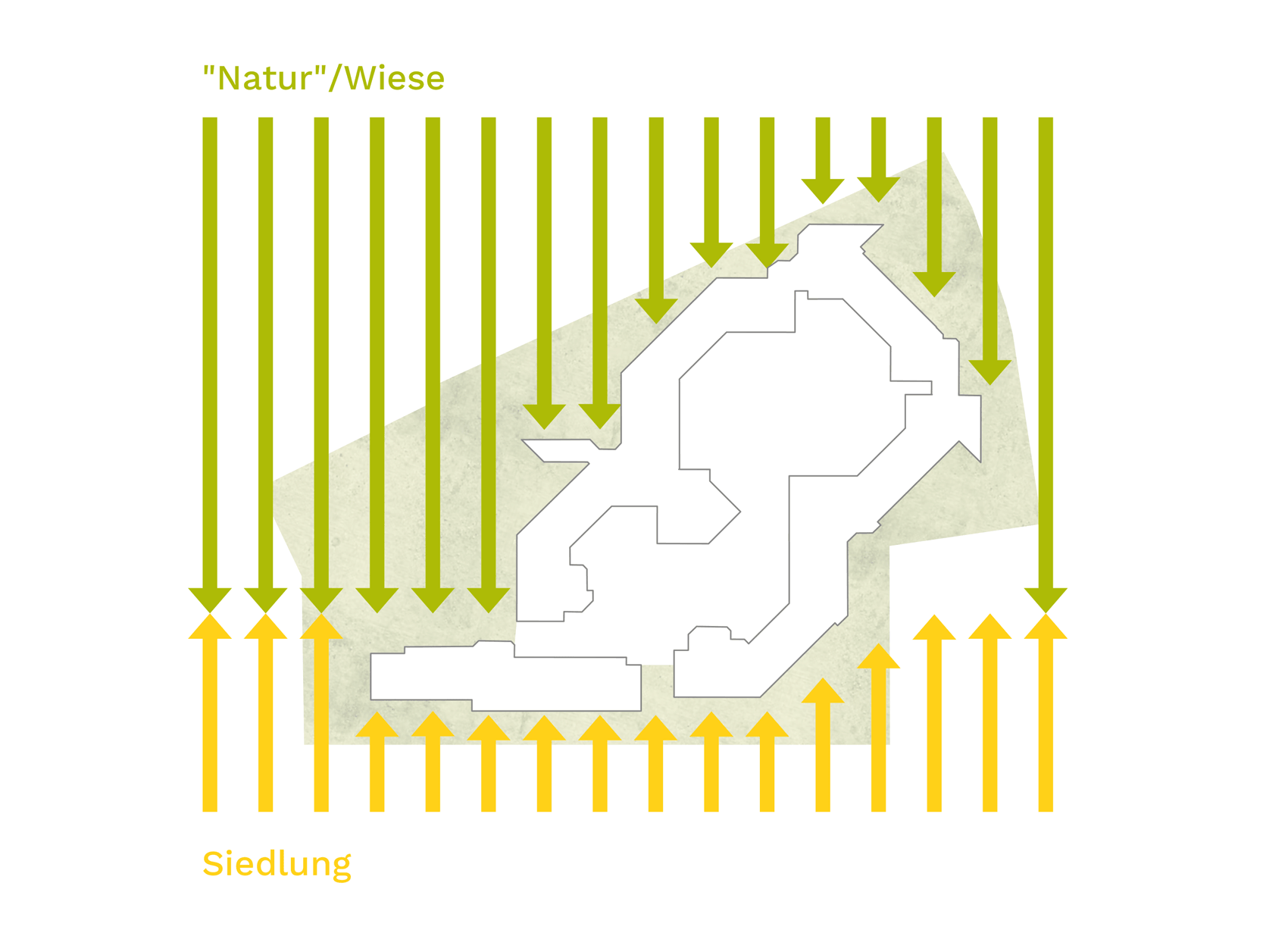 Gestaltungsthemen: Natur und Siedlung