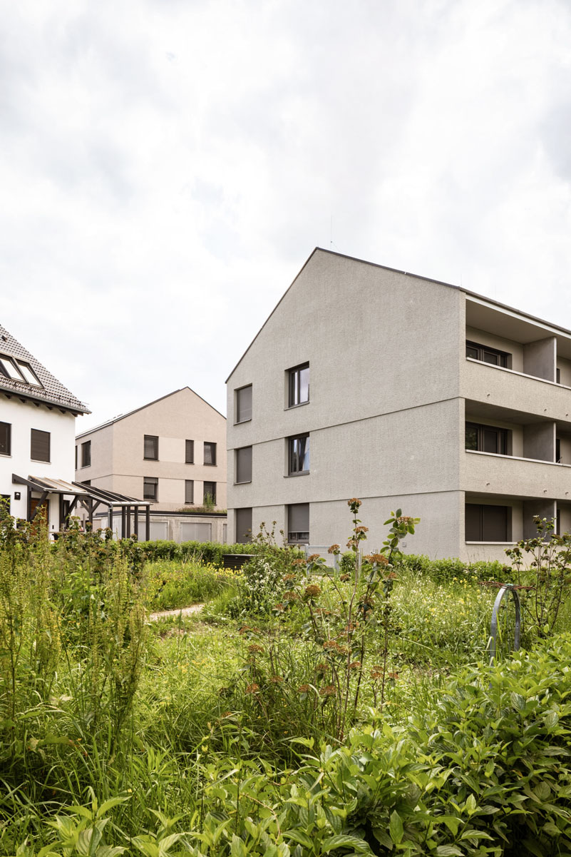 © Fotografie: Börje Müller-Nolasco, 2025
